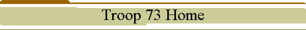 Troop 73 Home